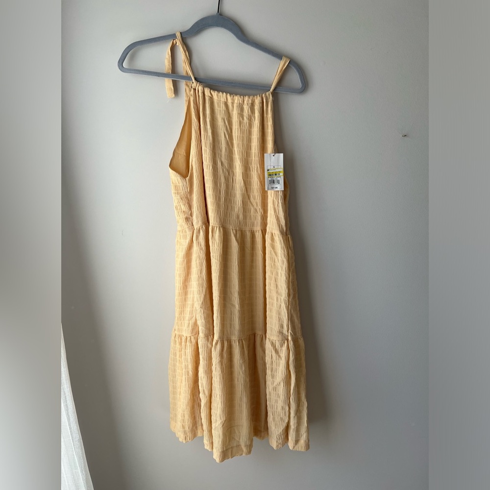 Pale Yellow Dress